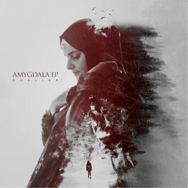 Album cover of Amygdala