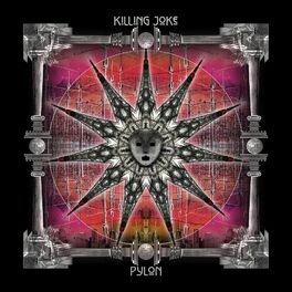 Album cover of Pylon (Deluxe)