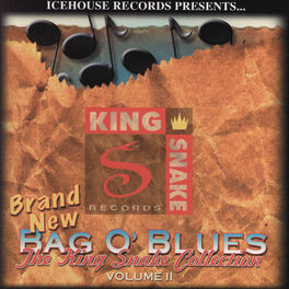 Album cover of The King Snake Collection: Bag O' Blues Vol. 2