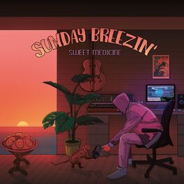 Album cover of EXPEDITion 100, Vol. 6: Sunday Breezin'
