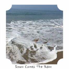 Album cover of Down Comes the Rain