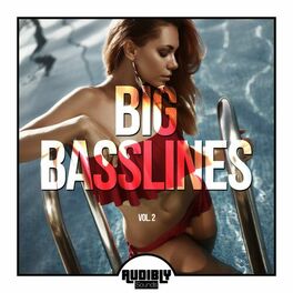 Album cover of Big Basslines, Vol. 2