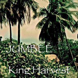 Album cover of Jumbee