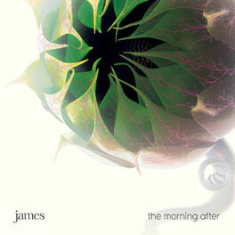 Album cover of The Morning After