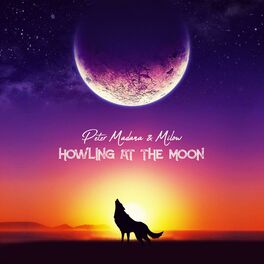 Album cover of Howling at the Moon (feat. Milow)