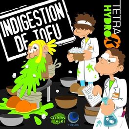 Album cover of Indigestion de Tofu
