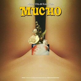 Album cover of MUCHO