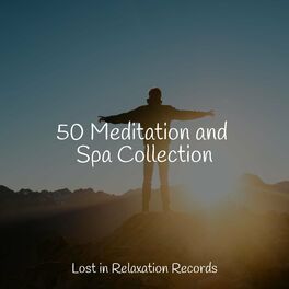 Album cover of 50 Meditation and Spa Collection