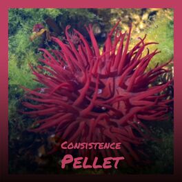 Album cover of Consistence Pellet