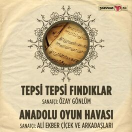 Album cover of Tepsi Tepsi Fındık / Anadolu Oyun Havası (Ali Ekber Çiçek ve Arkadaşları)