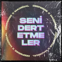 Album cover of Seni Dert Etmeler