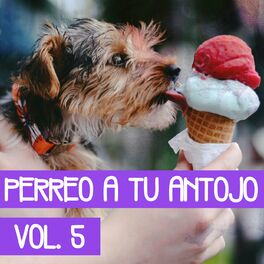 Album cover of Perreo A Tú Antojo Vol. 5