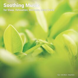 Album cover of Soothing Music for Sleep, Relaxation, Wellness, Inner Peace