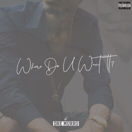 Album cover of Where Do U Want It?