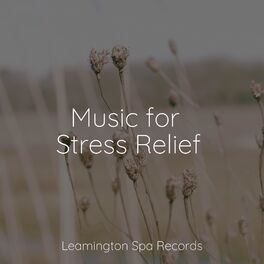 Album cover of Music for Stress Relief
