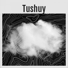 Album cover of Tushuy