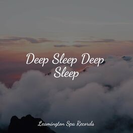 Album cover of Deep Sleep Deep Sleep