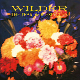 Album cover of Wilder (Remastered Expanded Edition)
