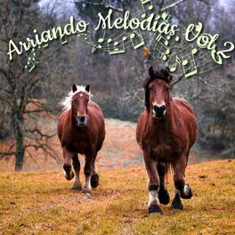 Album cover of Arriando Melodías, Vol. 2