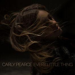 Album cover of Every Little Thing - Single