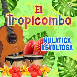 Album cover of Mulatica Revoltosa