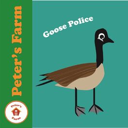 Album cover of Goose Police