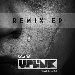 Album cover of Scars Remix EP