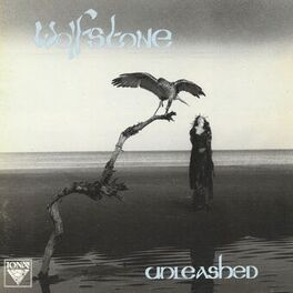 Album cover of Unleashed