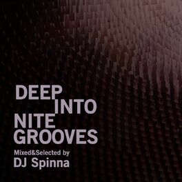 Album cover of Deep Into Nite Grooves (DJ Mix)