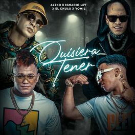 Album cover of Quisiera Tener (Remix)