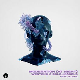 Album cover of Moderation (At Night)