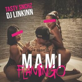 Album cover of Mami Flamingo
