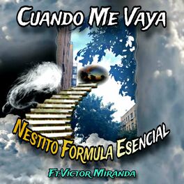 Album cover of Cuando Me Vaya