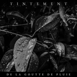 Album cover of Tintement de la Gouttes de Pluie