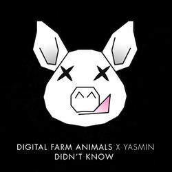 Didn't Know (feat. Yasmin) - Digital Farm Animals Download