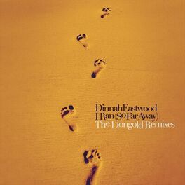 Album cover of I Ran (So Far Away) (The Liongold Remixes)