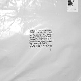 Album cover of WE'VE DONE SOMETHING WONDERFUL