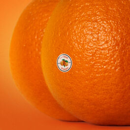 Album cover of The Juice: Vol. II