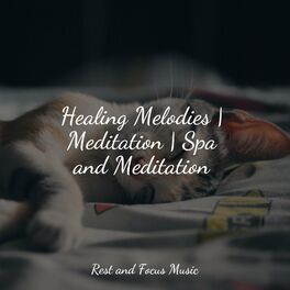 Album cover of Healing Melodies | Meditation | Spa and Meditation