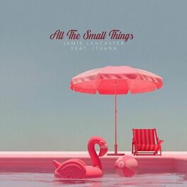 Album cover of All the Small Things