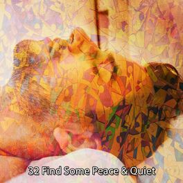Album cover of 32 Find Some Peace & Quiet