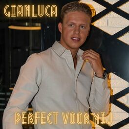 Album cover of Perfect Voor Mij