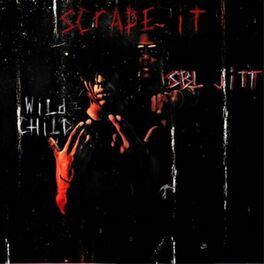Album cover of Scrape It