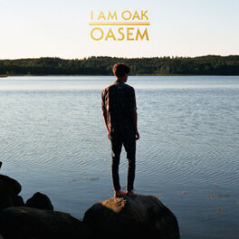 Album cover of Oasem