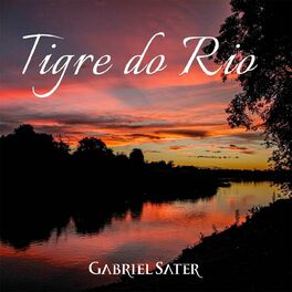 Album cover of Tigre do Rio