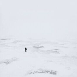 Album cover of Polar