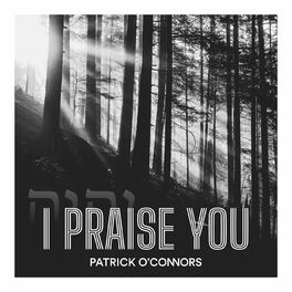 Album cover of I Praise You