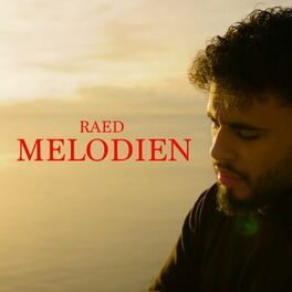 Album cover of Melodien