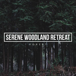 Album cover of Serene Woodland Retreat