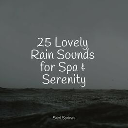 Album cover of 25 Lovely Rain Sounds for Spa & Serenity